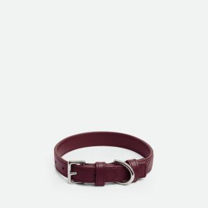 Small Intrecciato Dog Collar