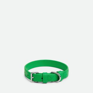 Small Intrecciato Dog Collar