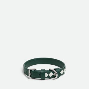 Small Intrecciato Dog Collar