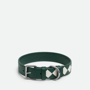 Medium Intrecciato Dog Collar