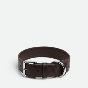 Medium Intrecciato Dog Collar