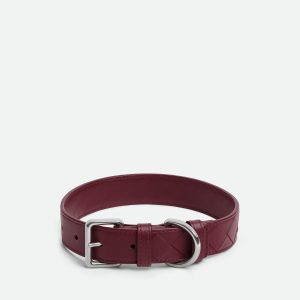 Medium Intrecciato Dog Collar