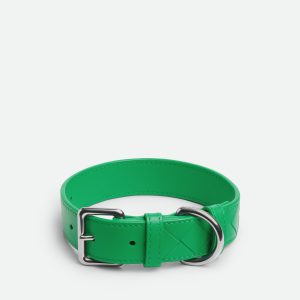 Medium Intrecciato Dog Collar