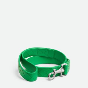 Medium Intrecciato Dog Leash