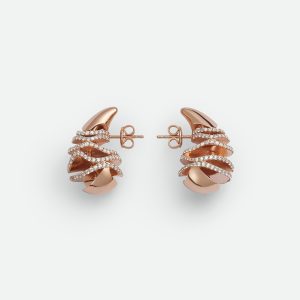 Drop Earrings