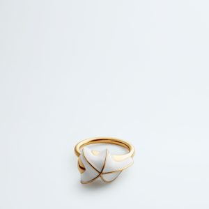 Drop Ring