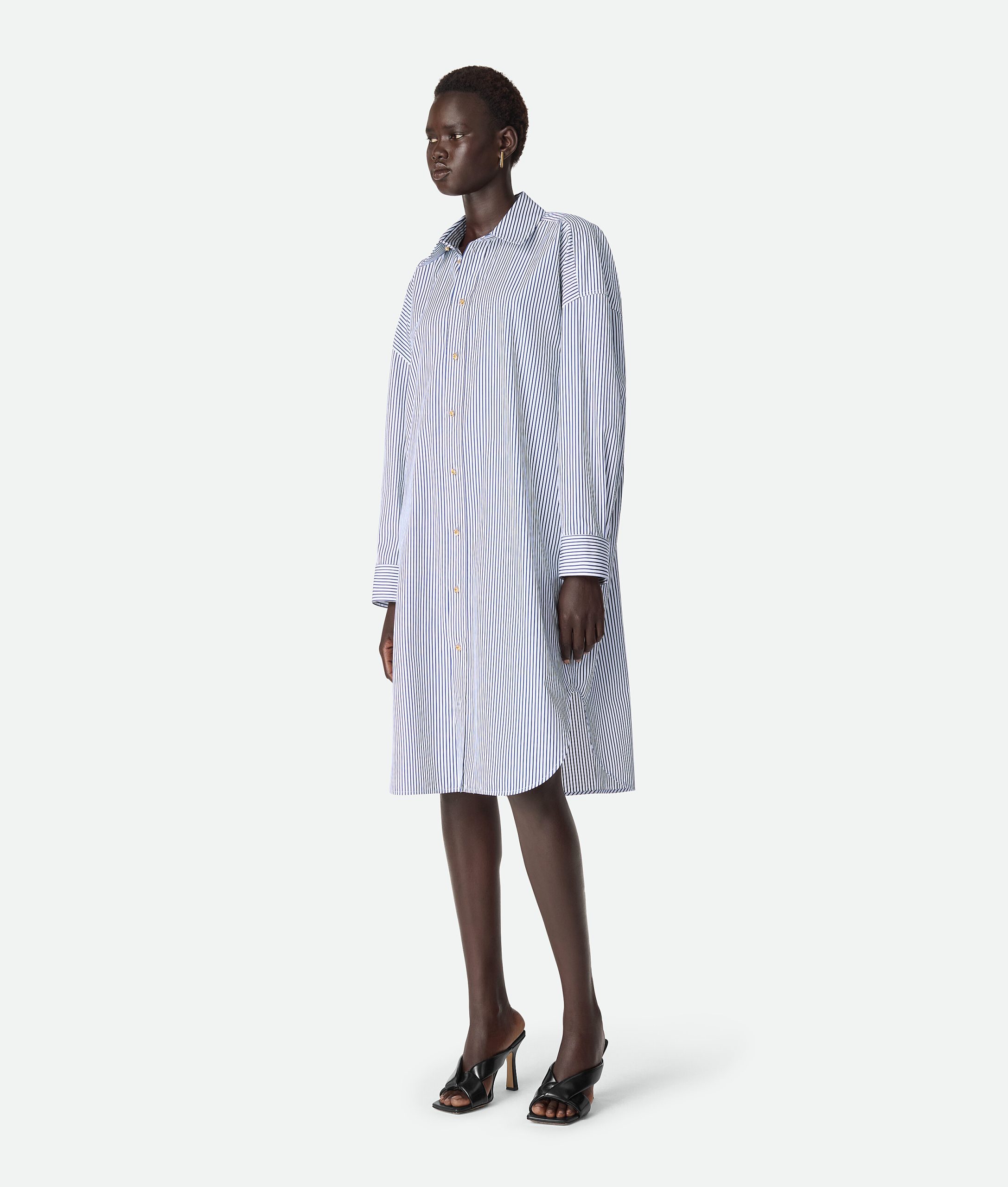 Pinstripe Cotton Poplin Dress - Image 2