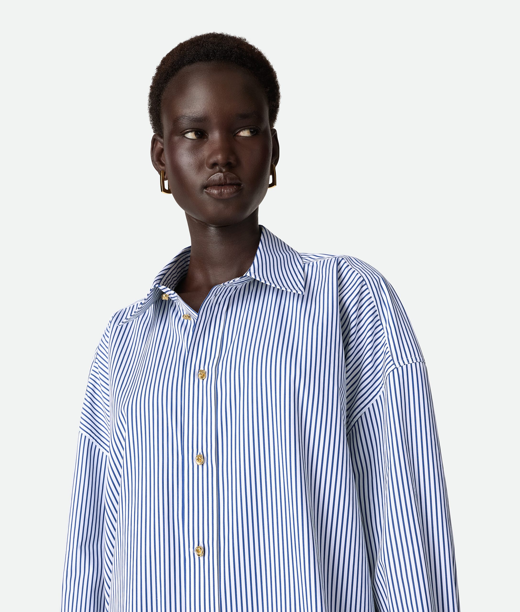 Pinstripe Cotton Poplin Dress - Image 4